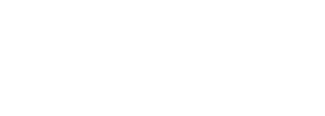 BEANS EXPRESS ROASTER